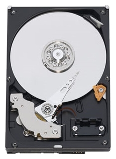 HDD 1000 Gb Western Digital WD10EZEX